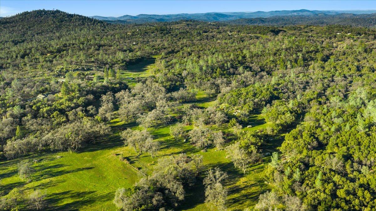14481 Oak Ridge Road Grass Valley, CA 95949 - Photo 43 of 46 a view of a lush green field with a mountain in the background