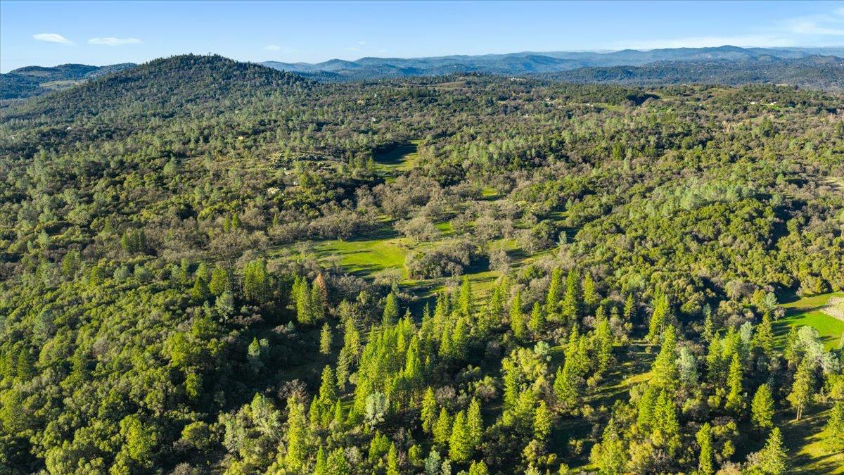 14481 Oak Ridge Road Grass Valley, CA 95949 - Photo 44 of 46 a view of a yard with a lush green hillside and a houses