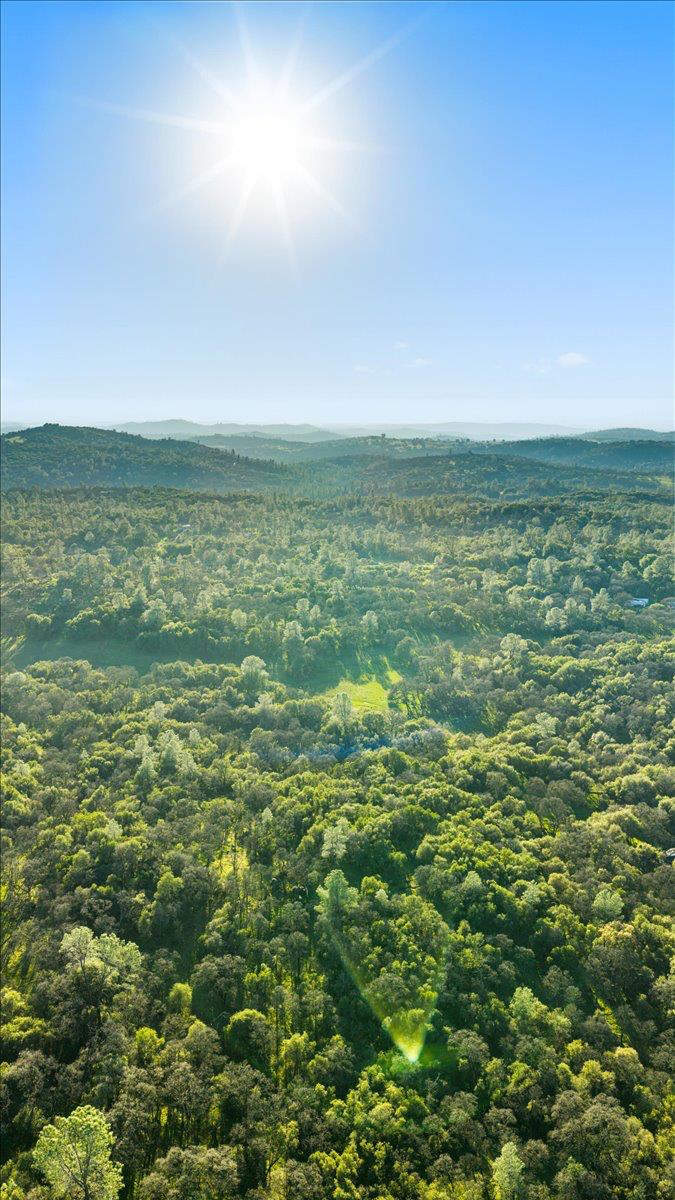 14481 Oak Ridge Road Grass Valley, CA 95949 - Photo 45 of 46 a view of a field with an ocean