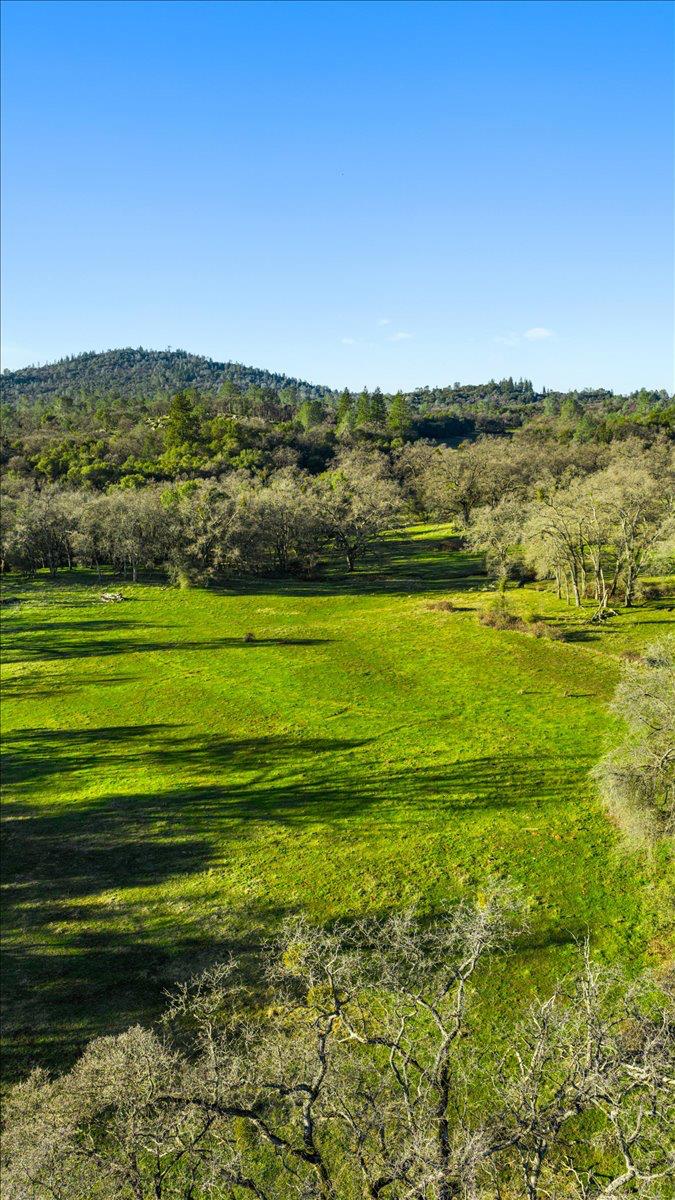 14481 Oak Ridge Road Grass Valley, CA 95949 - Photo 46 of 46