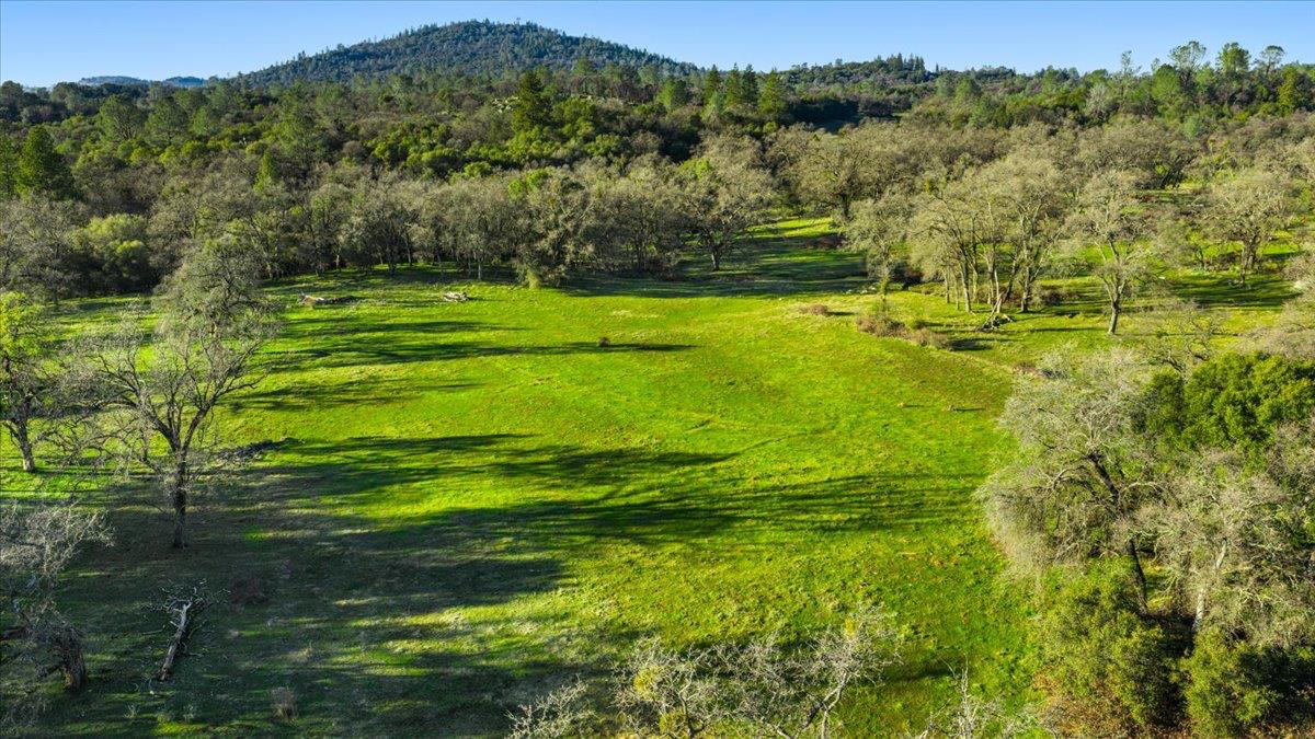 14481 Oak Ridge Road Grass Valley, CA 95949 - Photo 6 of 46 a view of a grassy area with an ocean