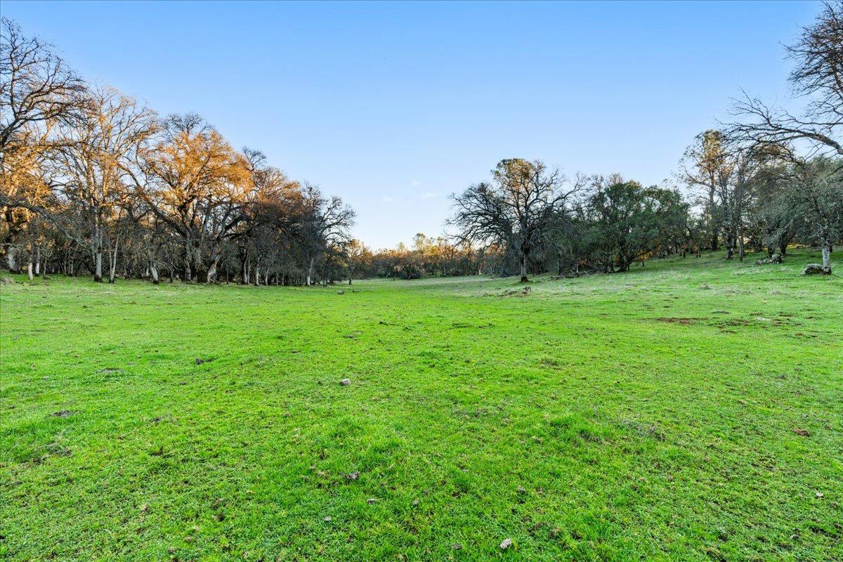 14481 Oak Ridge Road Grass Valley, CA 95949 - Photo 8 of 46 a backyard of a house with lots of green space
