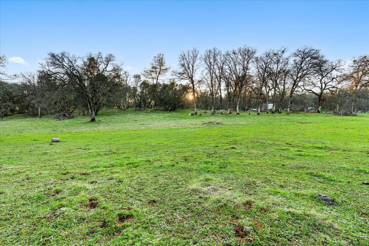 14481 Oak Ridge Road Grass Valley, CA 95949 - Photo 9 of 46 a view of a grassy field with trees in the background