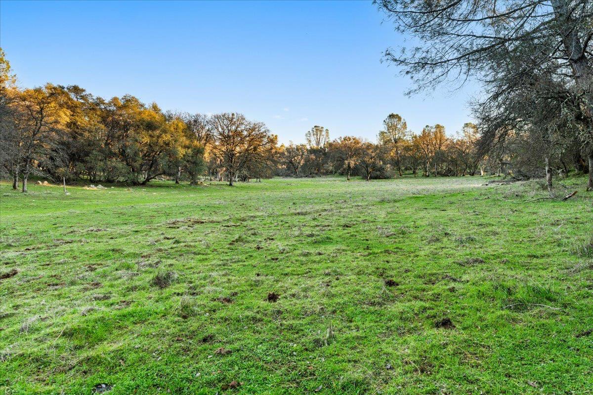 14481 Oak Ridge Road Grass Valley, CA 95949 - Photo 10 of 46 a view of outdoor space and yard