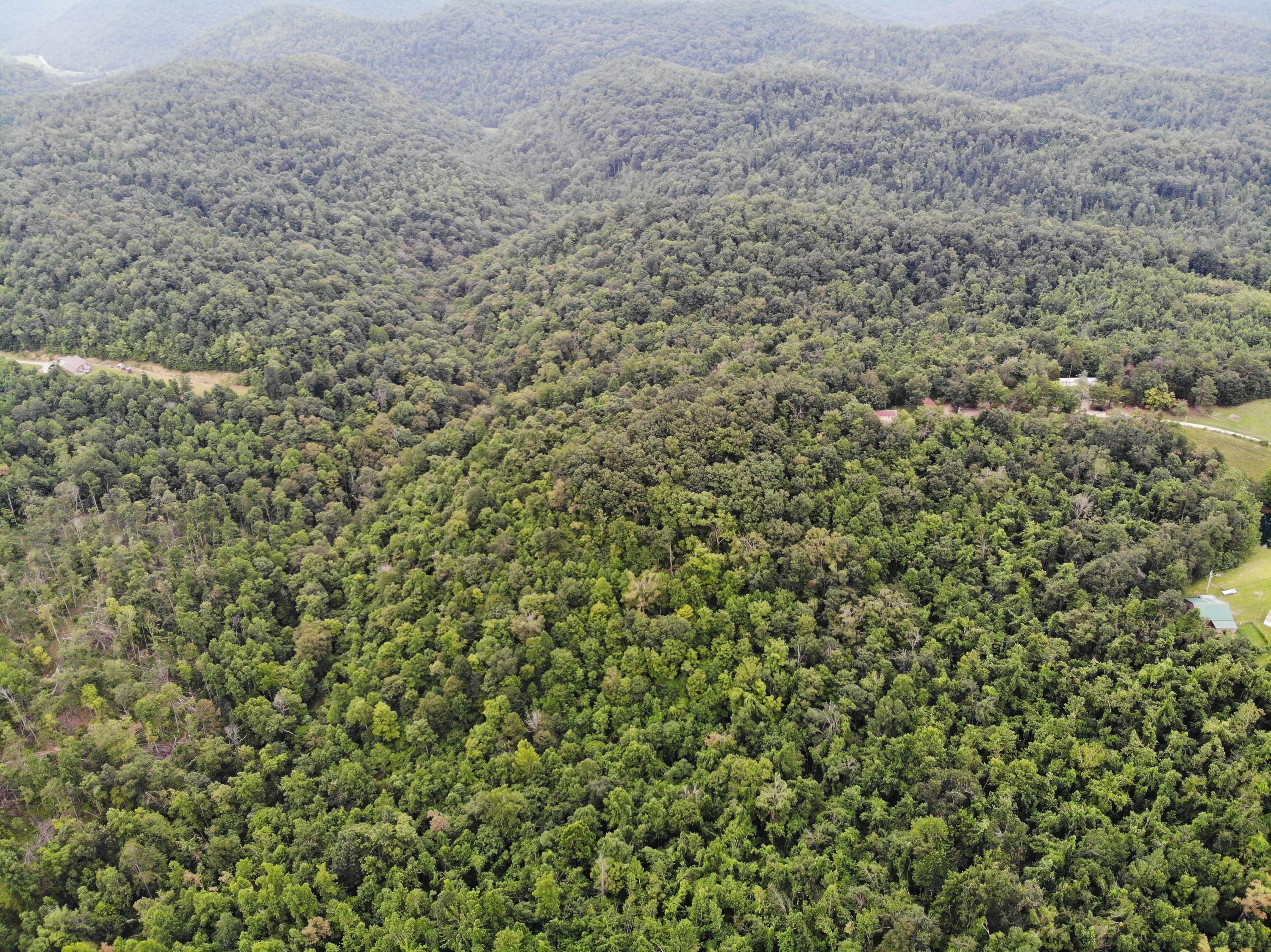9015 McKee Road Irvine, KY 40336 - Photo 26 of 33 DJI_0979