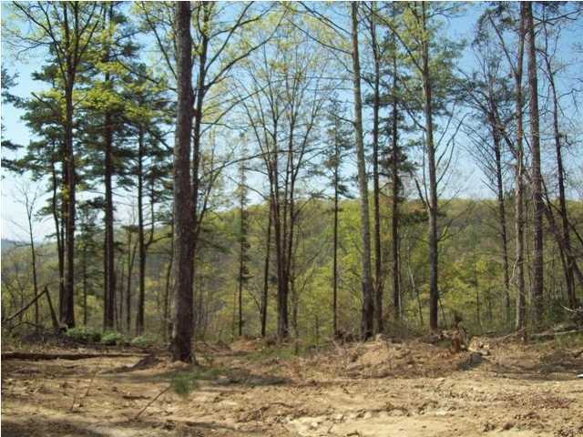 773 Flat Mountain Road Dunlap, TN 37327 - Photo 14 of 14 Additional Photo