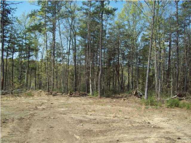 773 Flat Mountain Road Dunlap, TN 37327 - Photo 3 of 14 Additional Photo