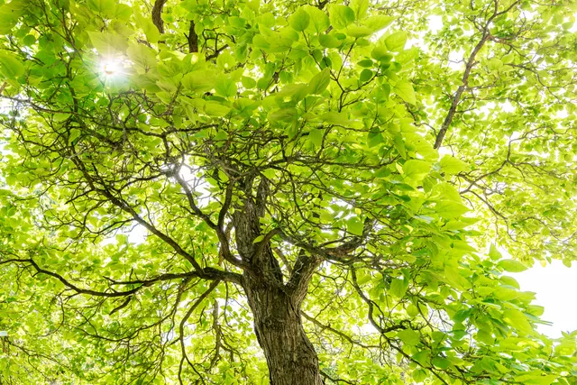 $169,900 | 45 Richards Avenue, Mexico, ME 04257