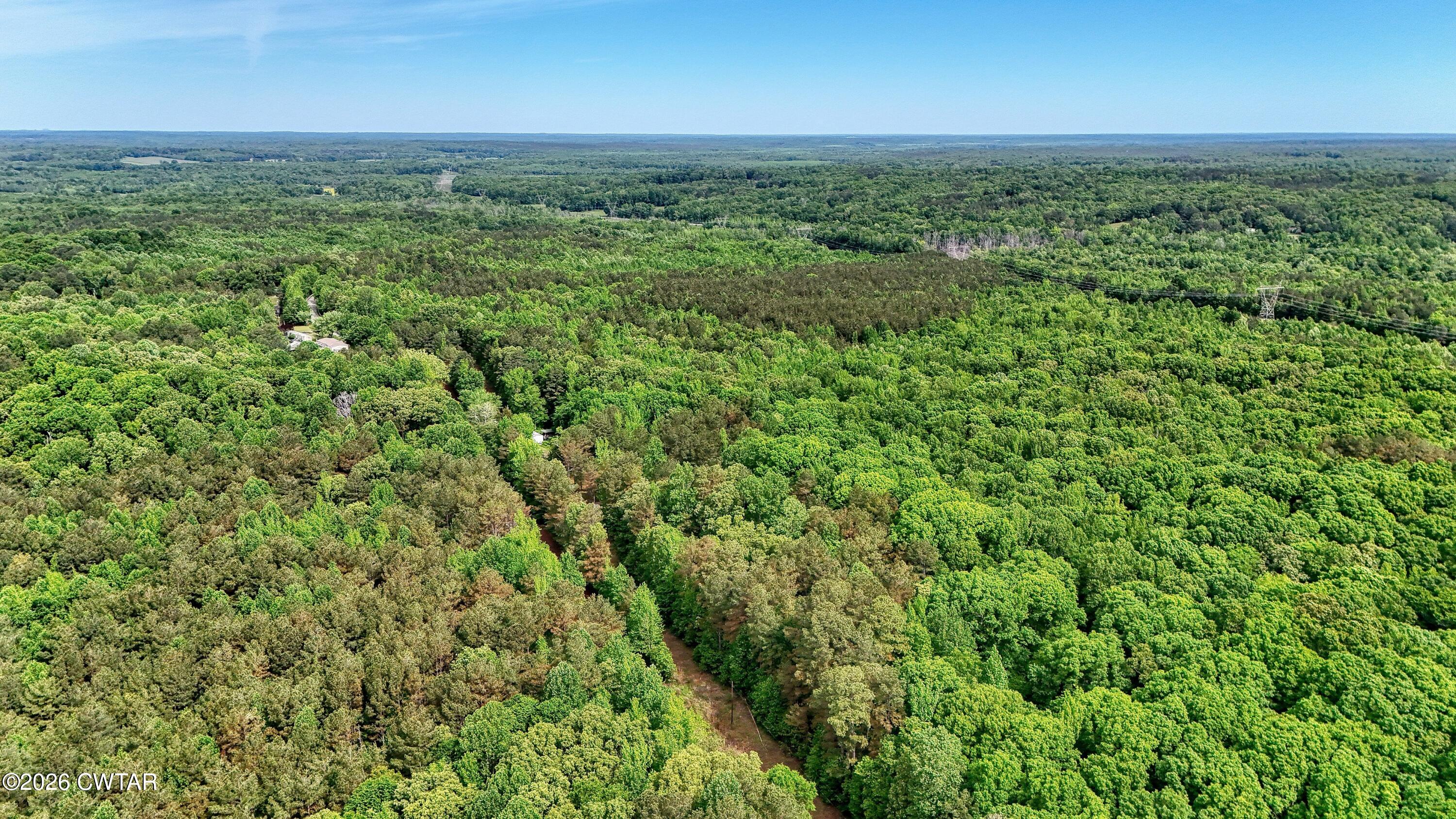 810 Sawyers Mill Road Bruceton, TN 38317 - Photo 11 of 14 an aerial view of a houses with a yard