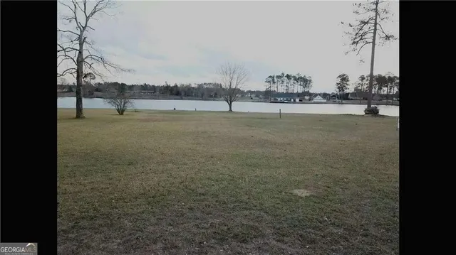 a view of a big yard with plants and trees