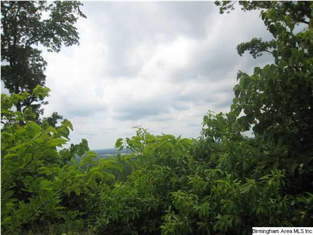 Mountain Ridge Parkway Trussville, AL 35173 - Photo 3 of 8