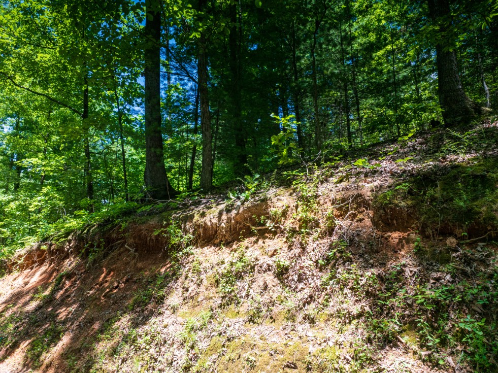 0 McGhee Road Greenback, TN 37742 - Photo 40 of 40