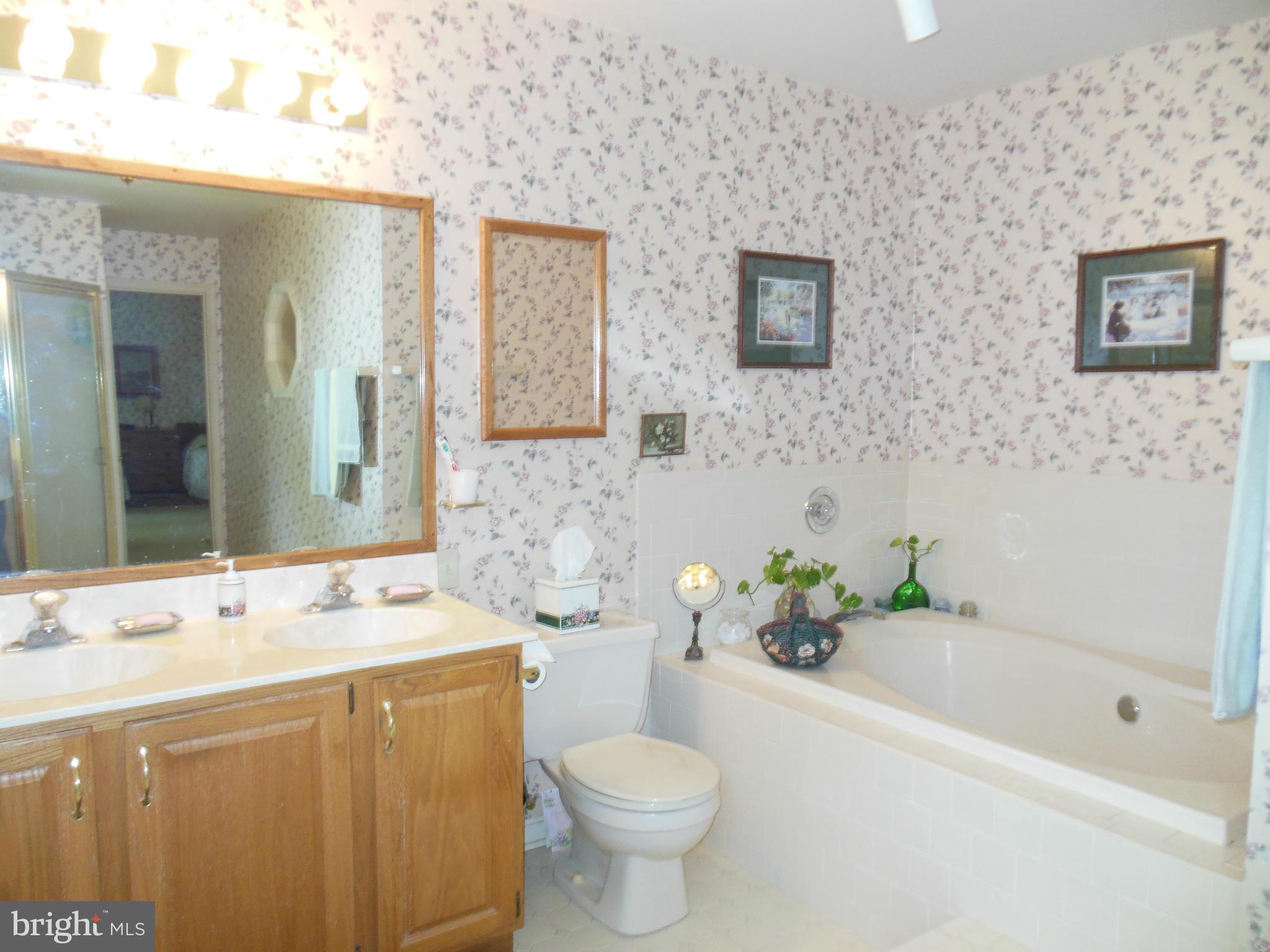 563 Laurel Court Riva, MD 21140 - Photo 18 of 30 a bathroom with a sink a toilet and shower