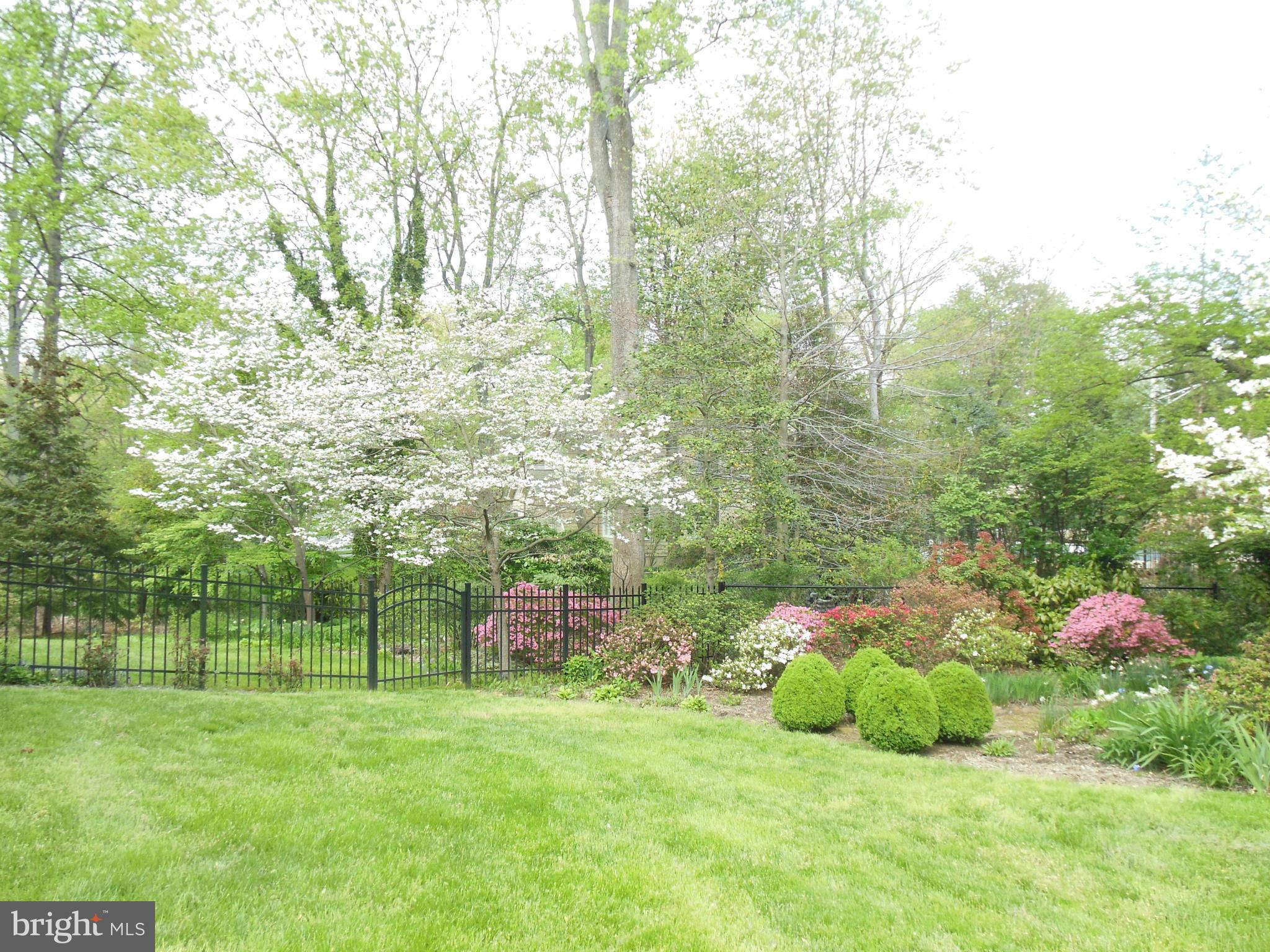 563 Laurel Court Riva, MD 21140 - Photo 22 of 30 a view of yard with green space