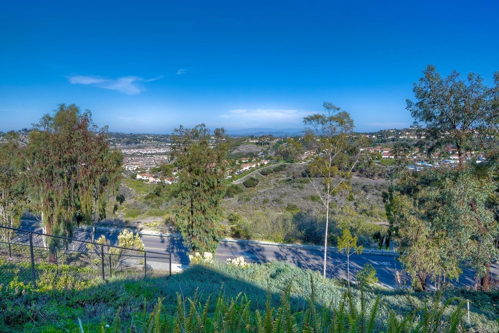 2754 Olympia Drive Carlsbad, CA 92010 - Photo 31 of 35 a view of a backyard with plants and a yard