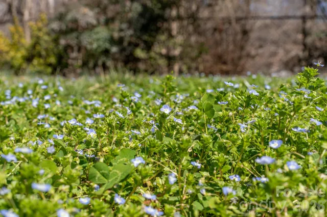 $279,485 | 186 Tanner Street, Rutherfordton, NC 28139