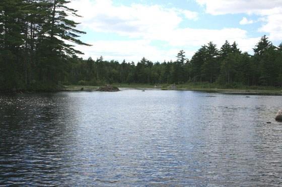 50 Lakeview Road Penobscot, ME 04476 - Photo 1 of 14 Photo