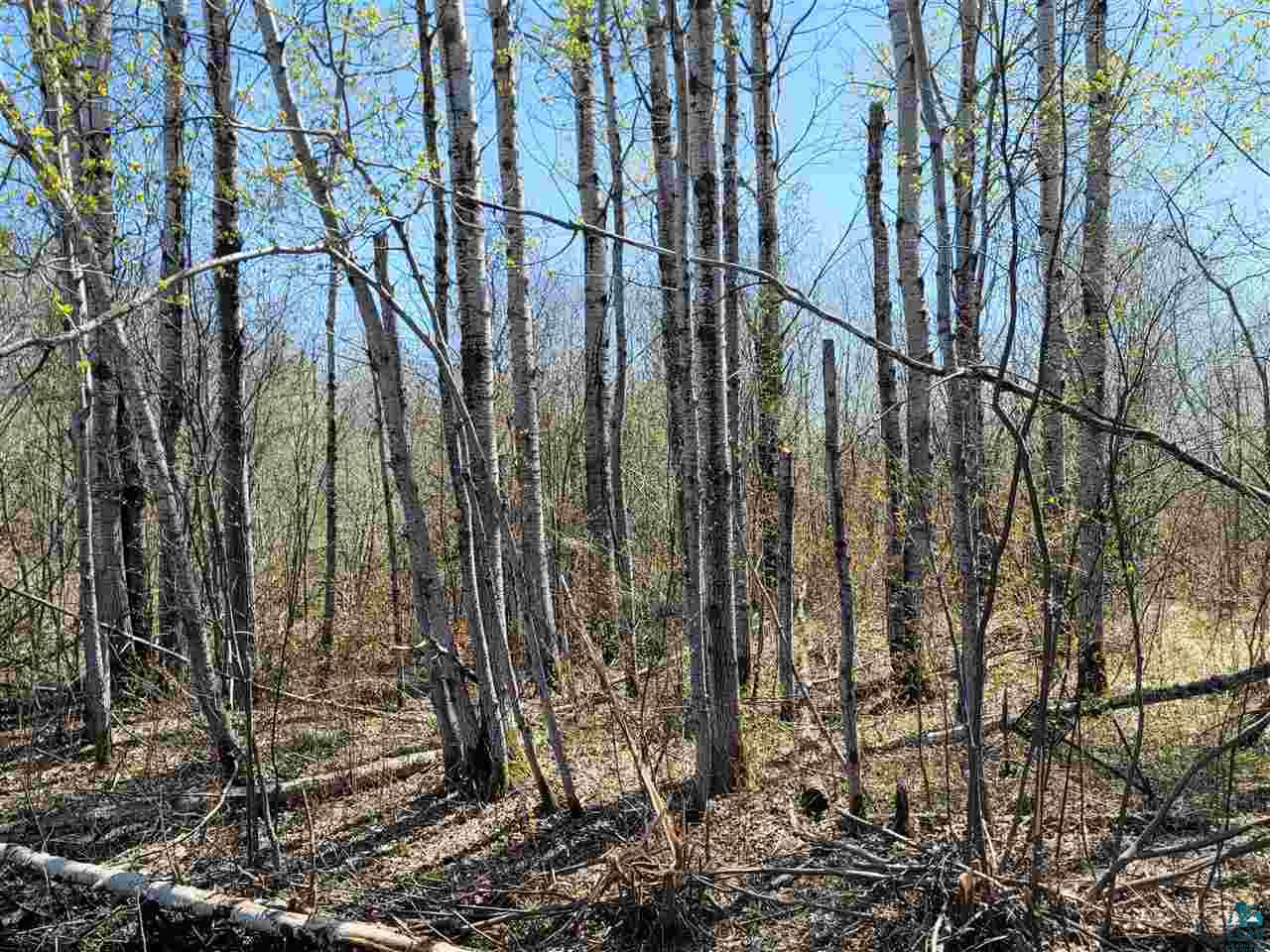 1234 Skog Road Kettle River, MN 55757 - Photo 11 of 16