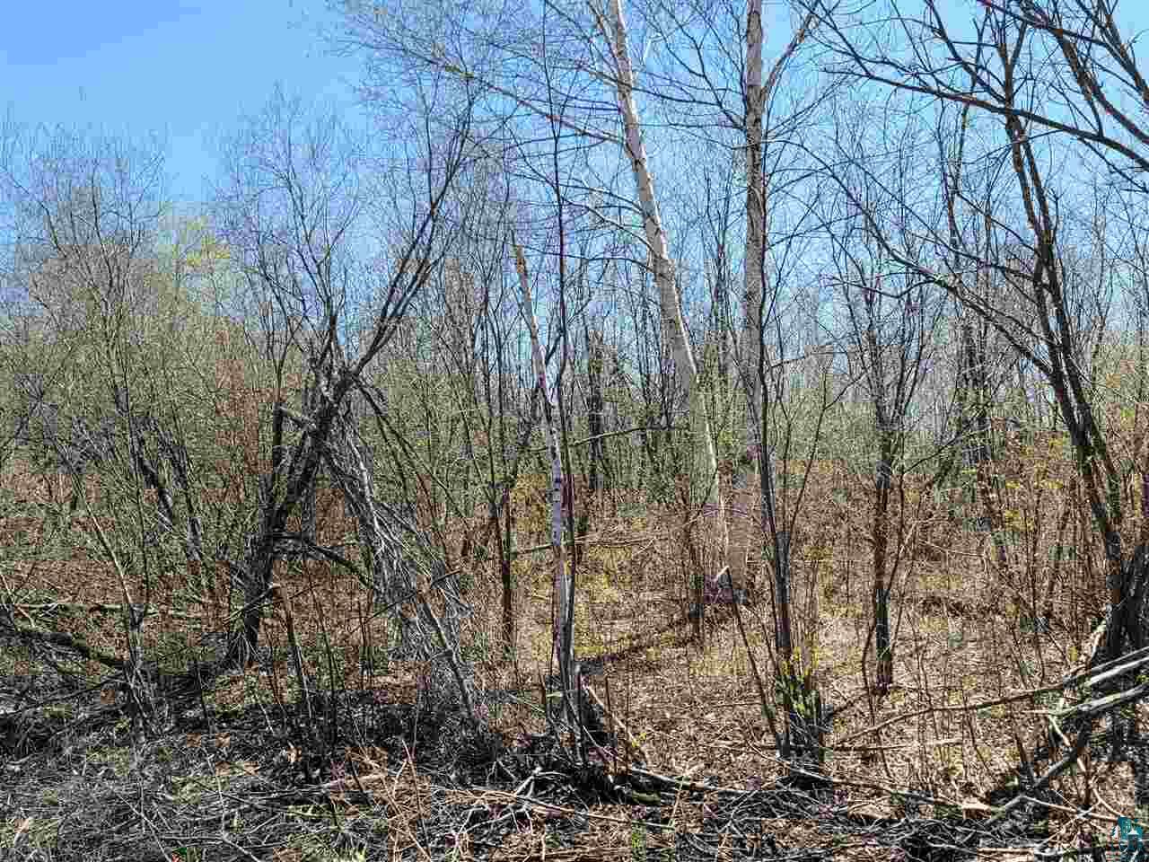 1234 Skog Road Kettle River, MN 55757 - Photo 13 of 16