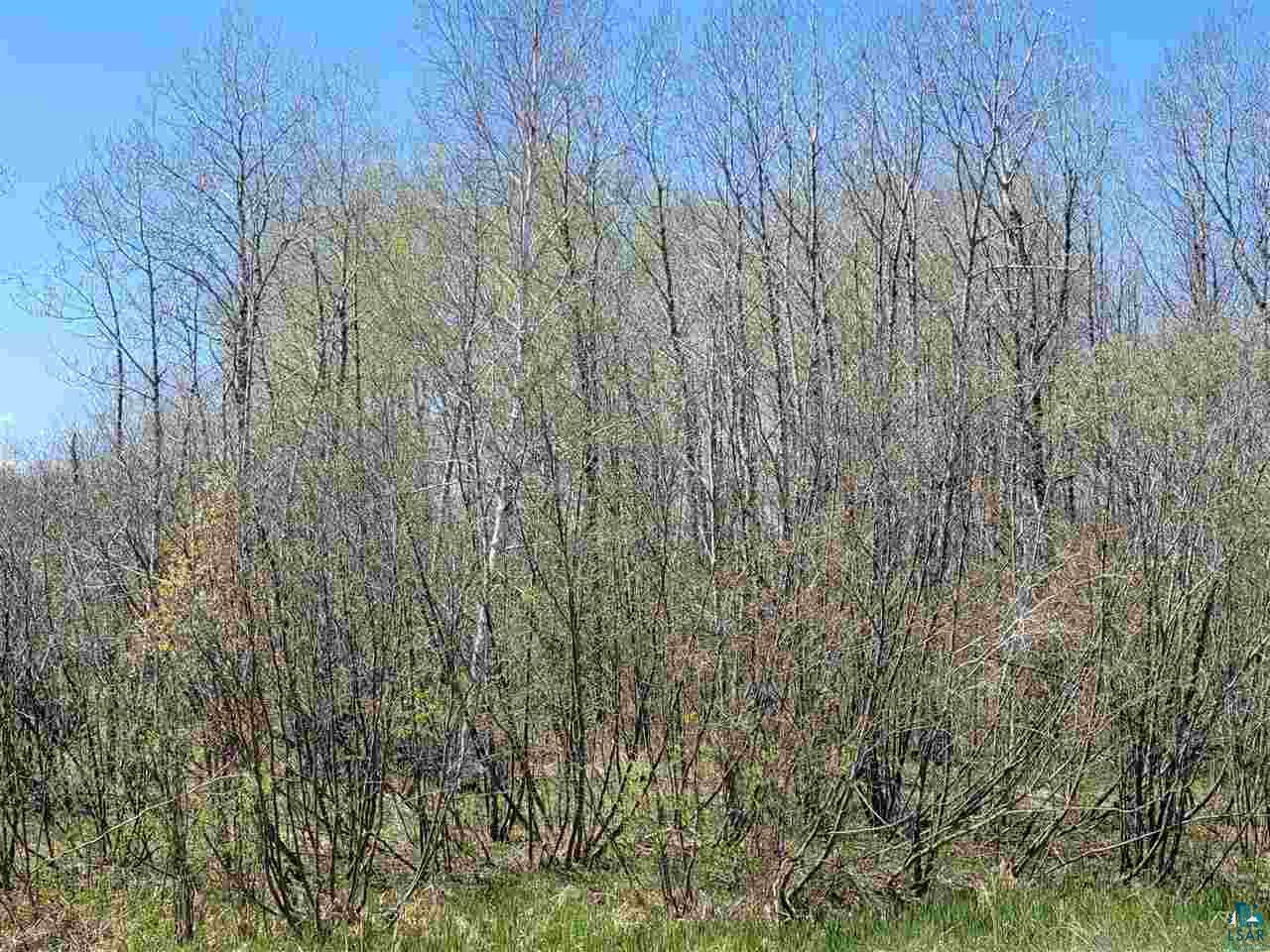 1234 Skog Road Kettle River, MN 55757 - Photo 14 of 16