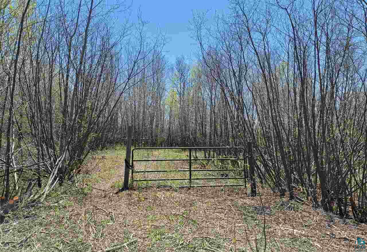 1234 Skog Road Kettle River, MN 55757 - Photo 2 of 16