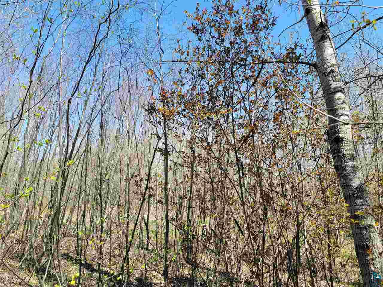 1234 Skog Road Kettle River, MN 55757 - Photo 5 of 16
