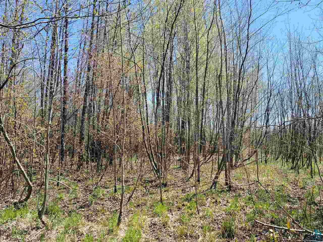 1234 Skog Road Kettle River, MN 55757 - Photo 6 of 16