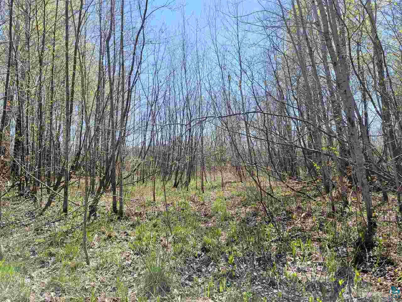 1234 Skog Road Kettle River, MN 55757 - Photo 7 of 16