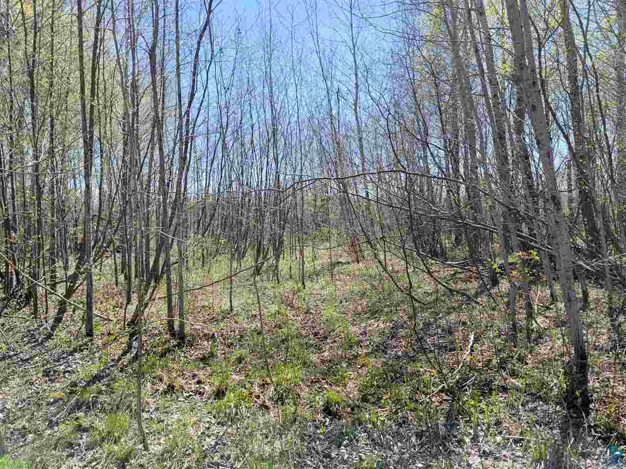 1234 Skog Road Kettle River, MN 55757 - Photo 8 of 16