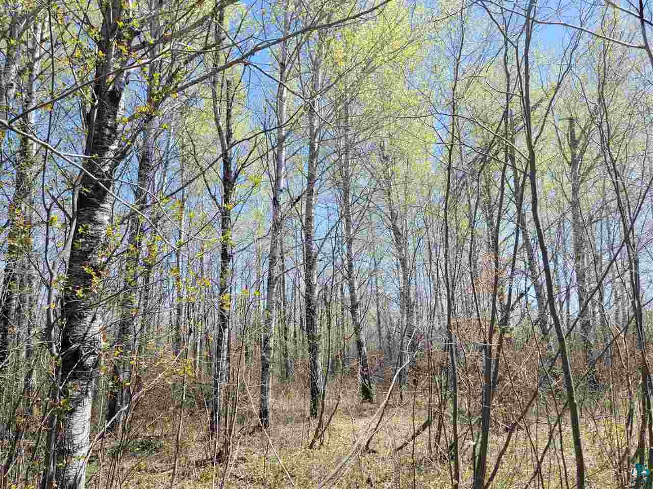 1234 Skog Road Kettle River, MN 55757 - Photo 9 of 16