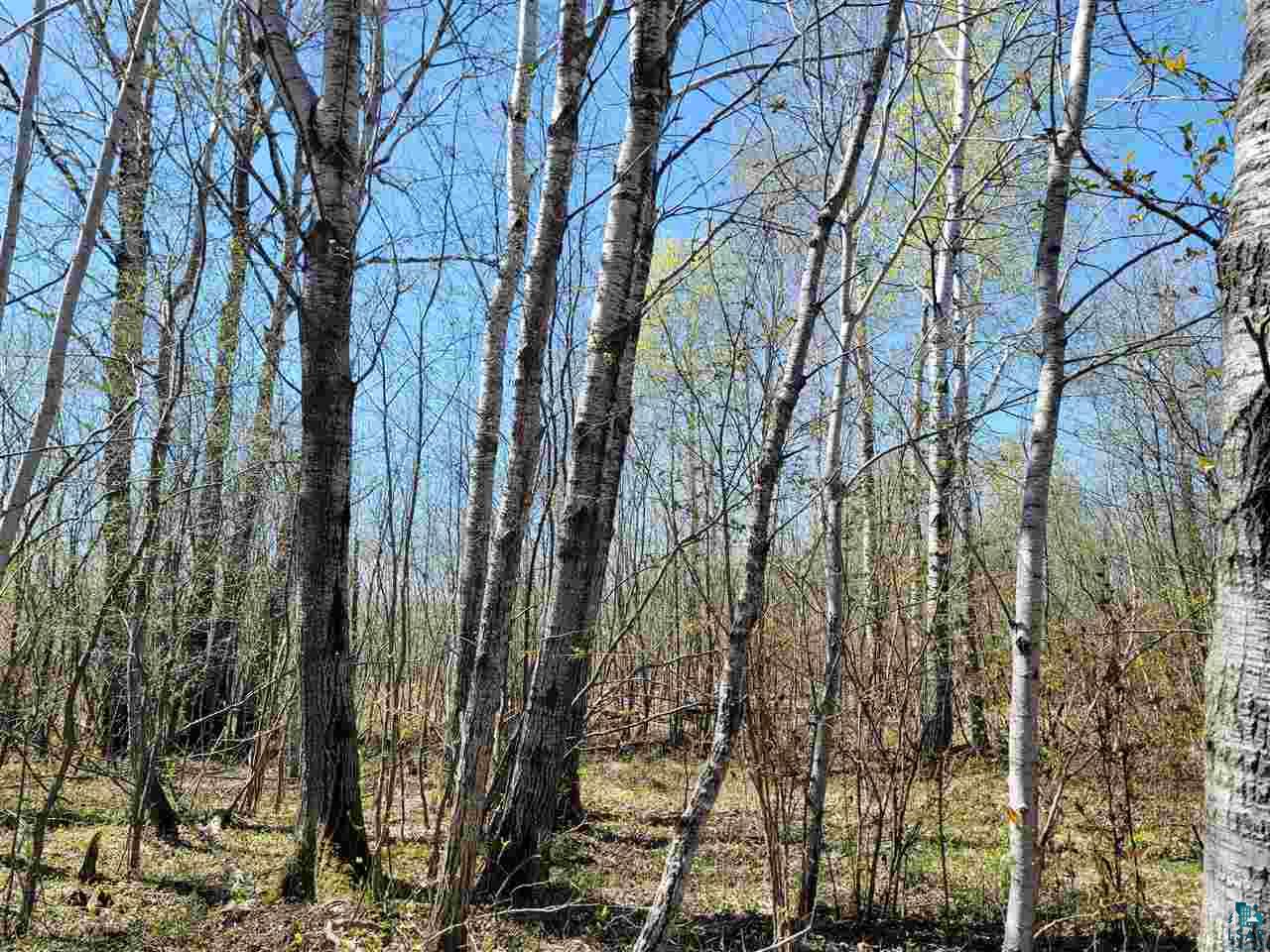 1234 Skog Road Kettle River, MN 55757 - Photo 10 of 16