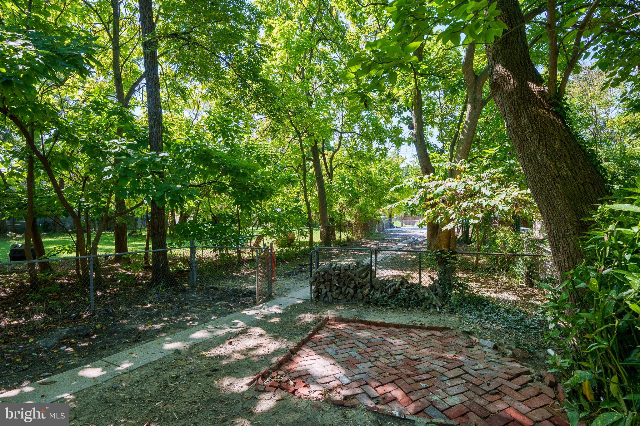 2817 Hamilton Avenue Baltimore, MD 21214 - Photo 24 of 29 Backyard