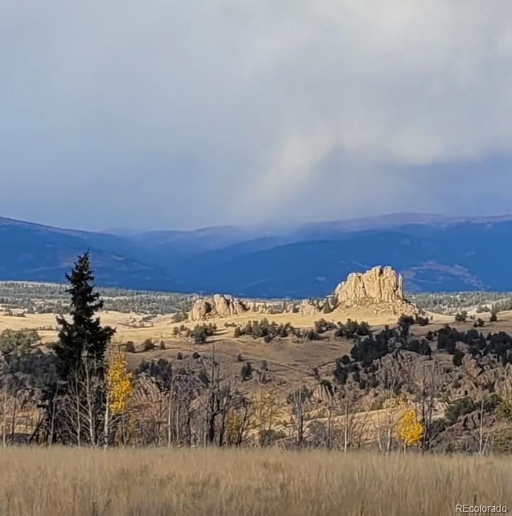 285 Arland Road Como, CO 80432 - Photo 11 of 13