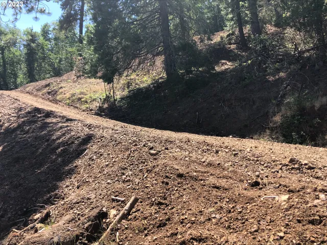 a view of a dry yard