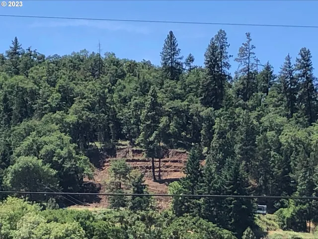 a view of a city with lush green forest