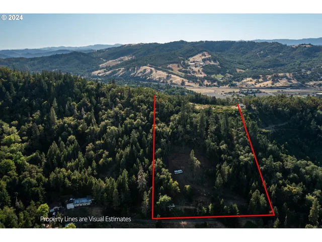 a view of city and mountain