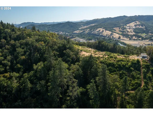 a view of a city with mountain
