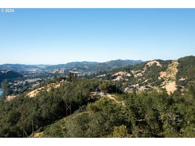 a view of a mountain in the distance in a field