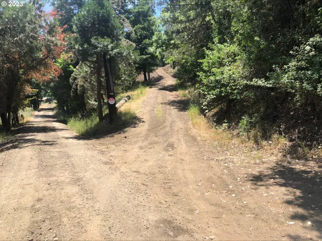 a view of a yard with trees