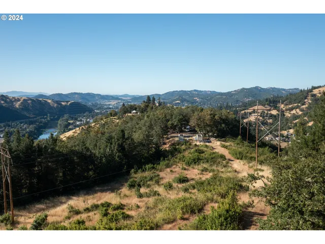 a view of a yard with a mountain