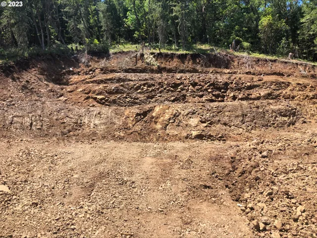 a view of a tree with a yard