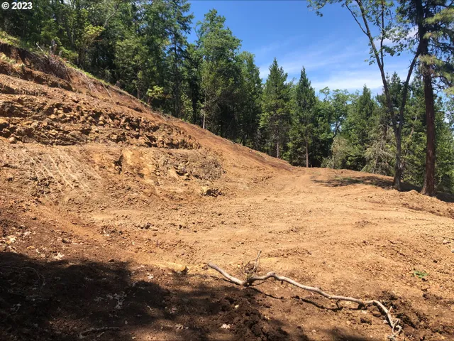 a view of a backyard of the house
