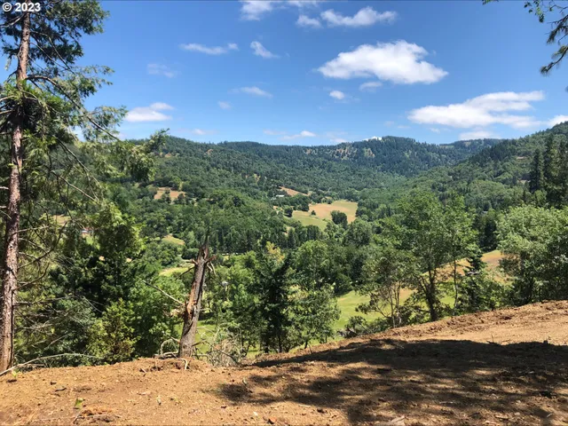 a view of a yard with mountain view