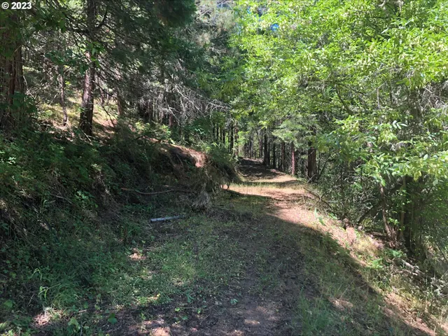 a view of outdoor space and yard
