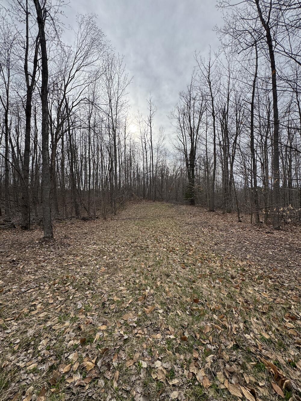1734 North Galbraith Road Mio, MI 48647 - Photo 64 of 120 IMG_1903