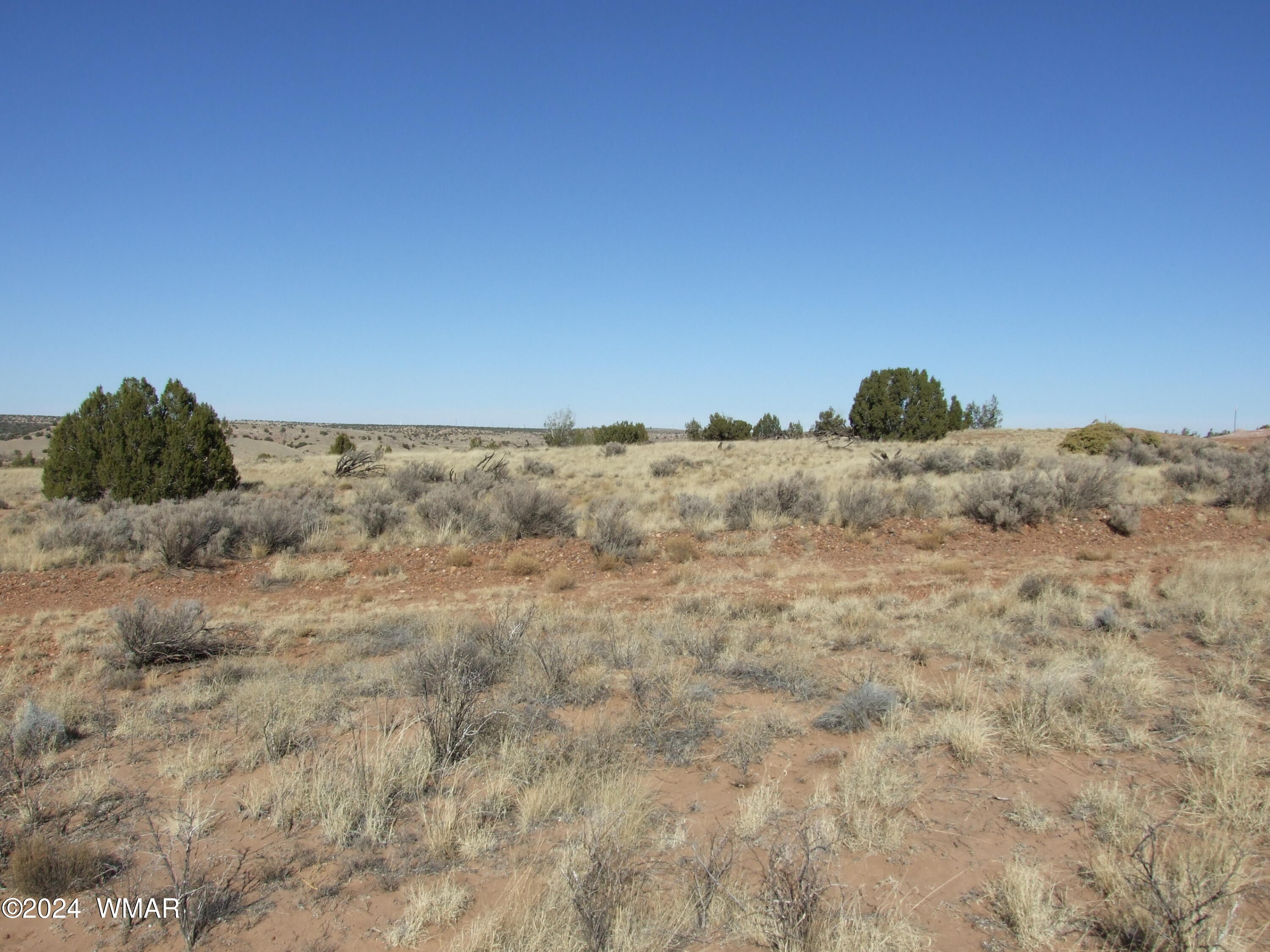 033 West Snowflake Az 85937 Snowflake, AZ 85937 - Photo 3 of 6 a view of a dry field with trees in the background