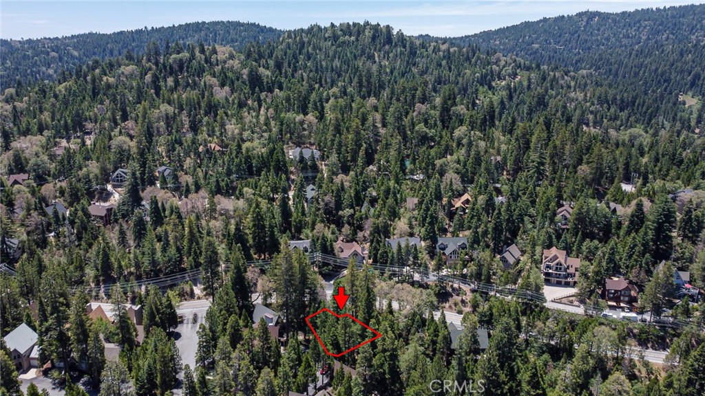180 Grass Valley Road, Unit 5 Lake Arrowhead, CA 92352 - Photo 11 of 12 a view of a lush green forest with a tree