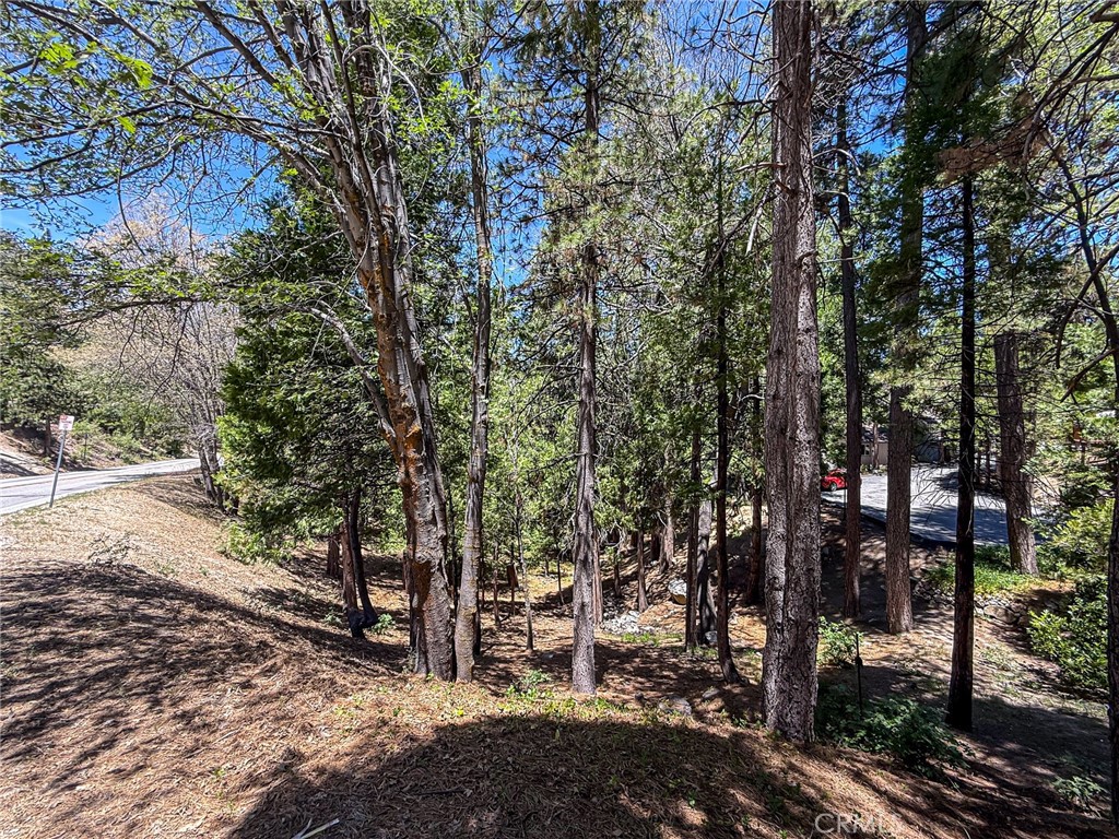 180 Grass Valley Road, Unit 5 Lake Arrowhead, CA 92352 - Photo 3 of 12 a view of a city with lush green forest