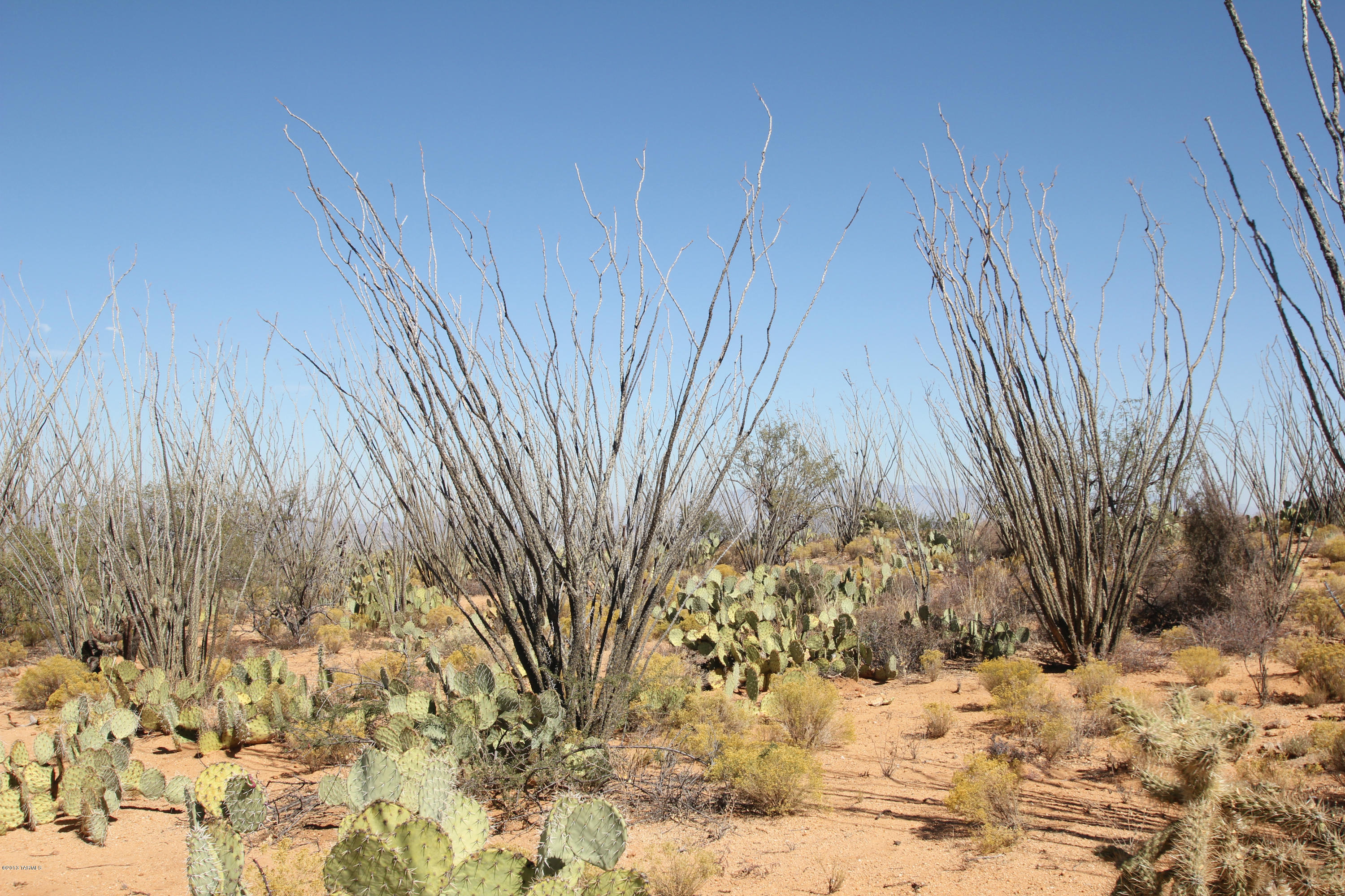 Pinto Road Sahuarita, AZ 85629 - Photo 13 of 17
