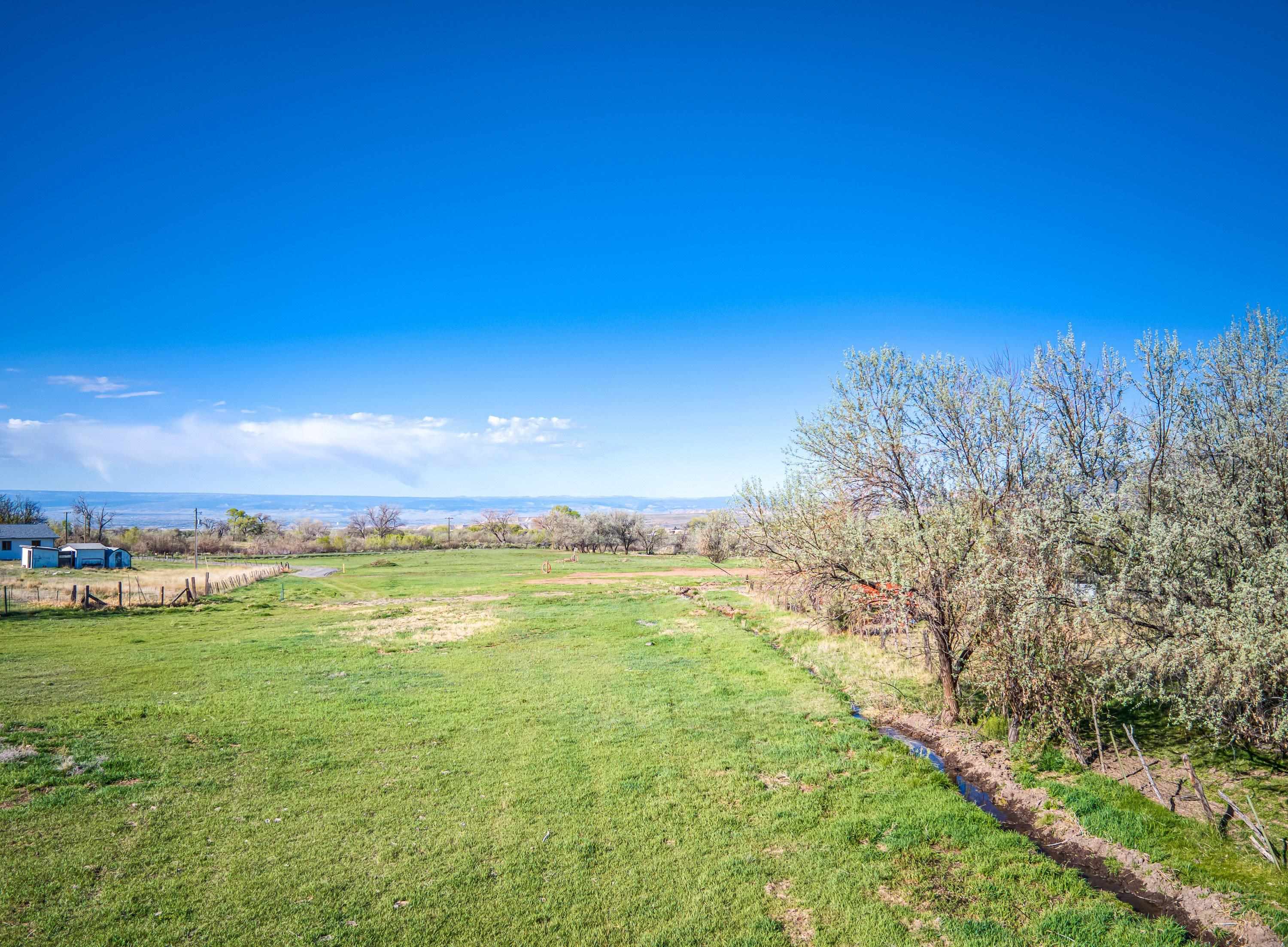 1010 Southwest 11th Avenue Cedaredge, CO 81413 - Photo 19 of 28